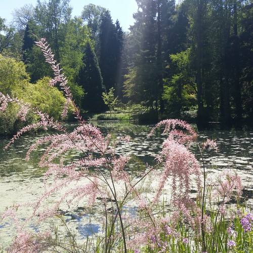 Botanischer Garten der Universität Münster