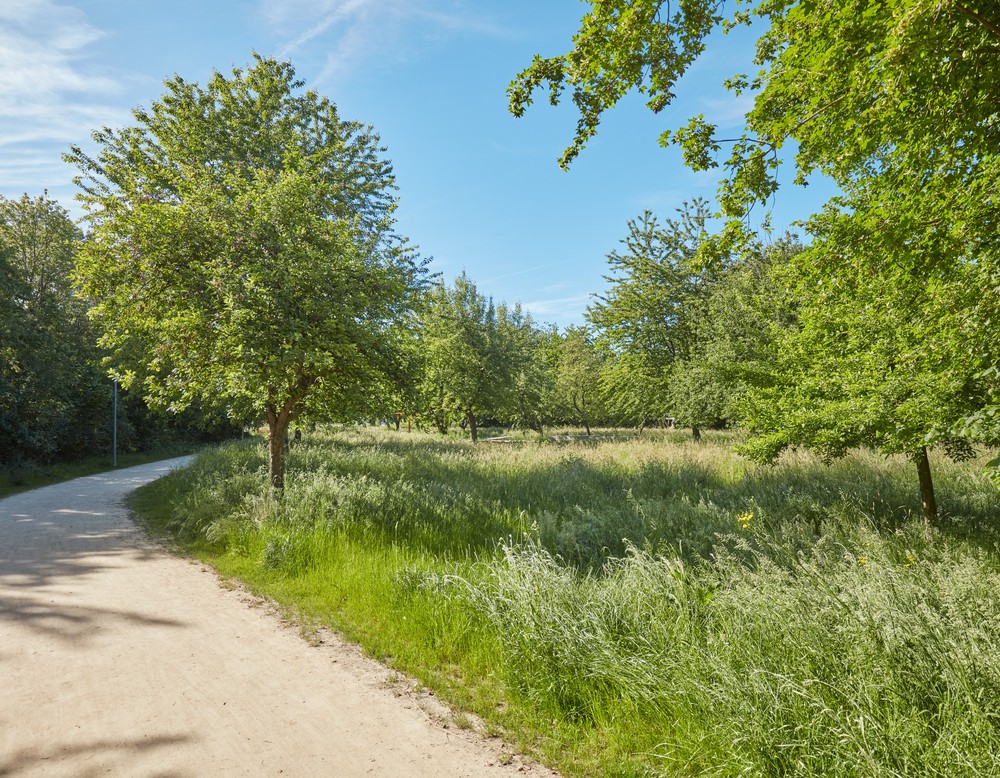 Klimagarten in Schwerte