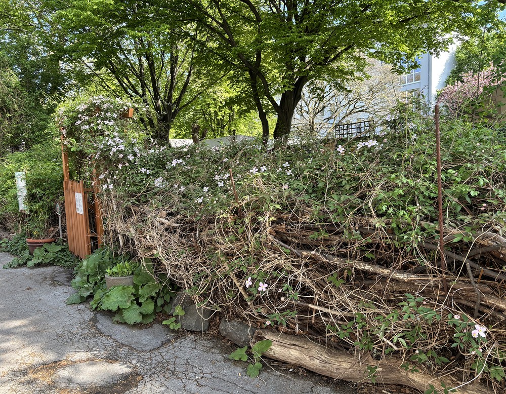 Essbarer Waldgarten 7000 Schmetterlinge