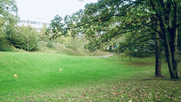 Querforen der Ruhr-Universität Bochum