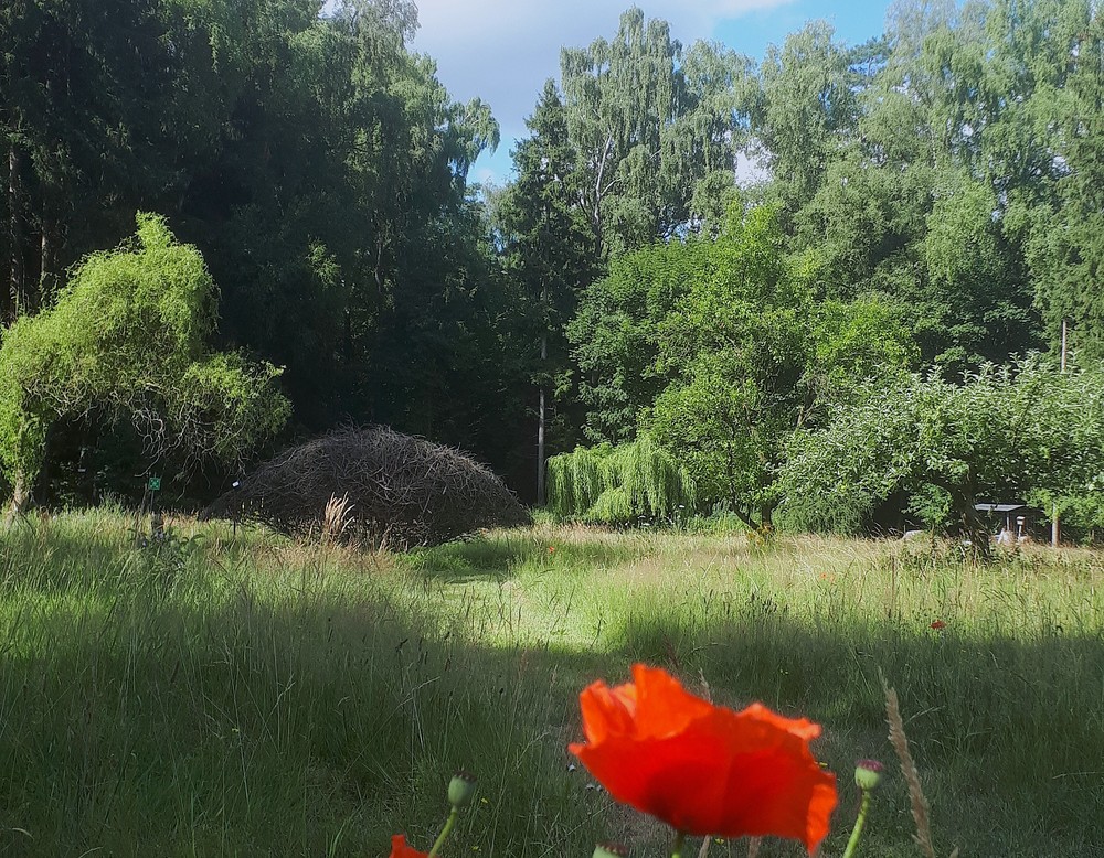 Detmold: Garten der Stille
