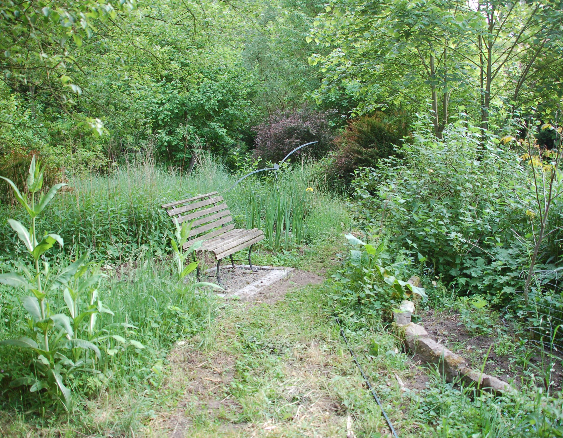 Horn-Bad Meinberg, Naturschutzgarten