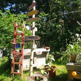 Münster, Campusgarten GrüneBeete