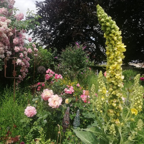 Meck's nostalgischer Landgarten