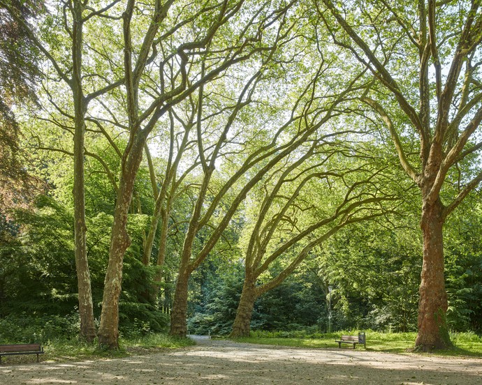 Dortmund Fredenbaumpark