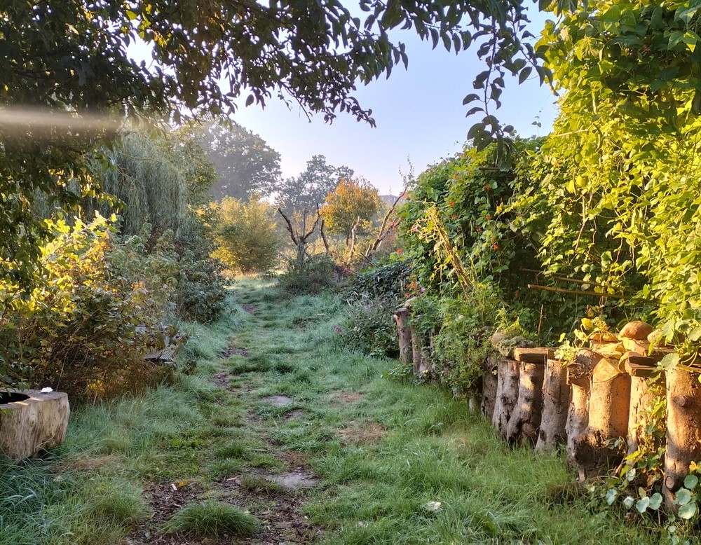 Bochum, Gemeinschaftsgarten Hof Bergmann e.V.