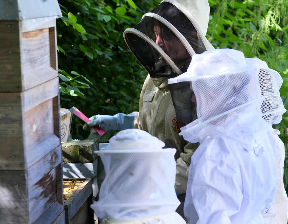 Dortmund, Mietergarten der Borsigbienen
