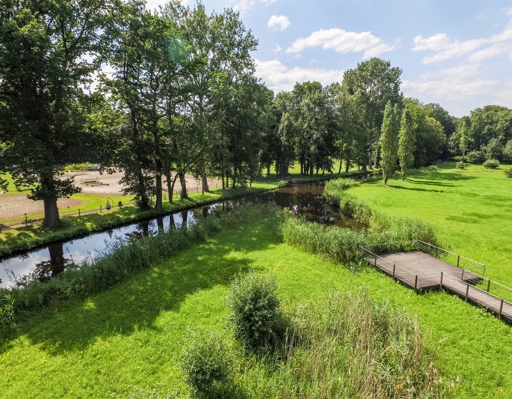 Wunderbaum - Rizinusstrauch im Stadtpark Botanischer Garten Gütersloh