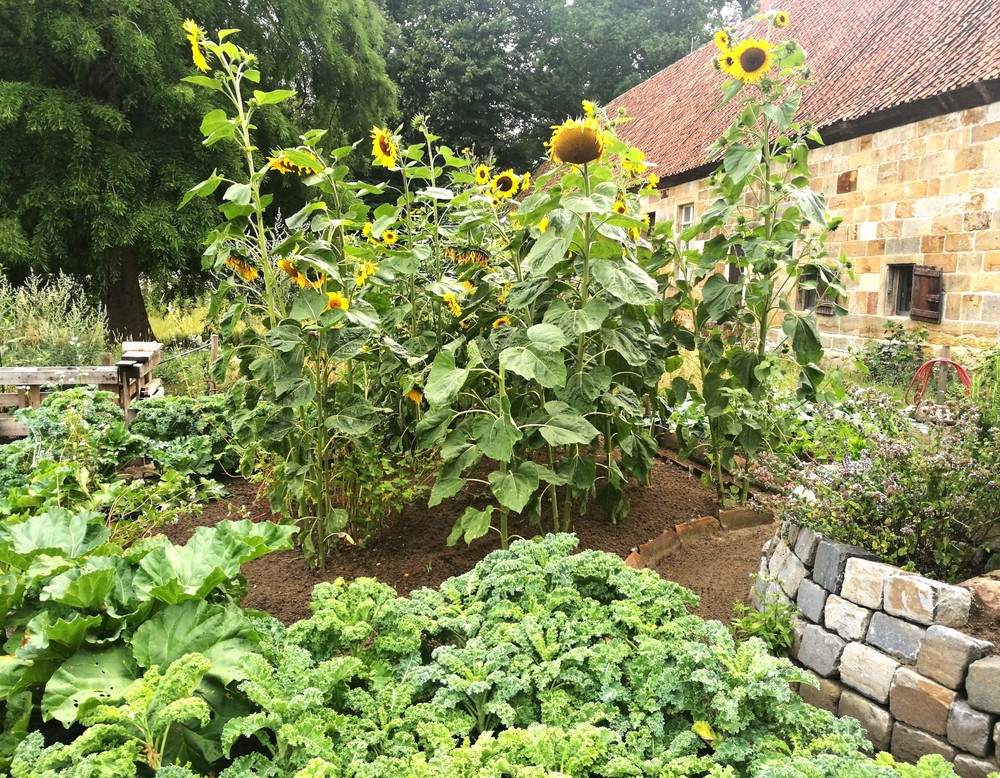 Klostergarten am Kloster Bentlage