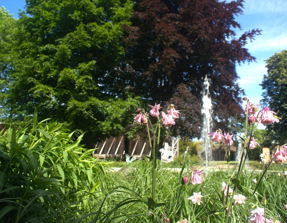 Kurpark Bad Westernkotten