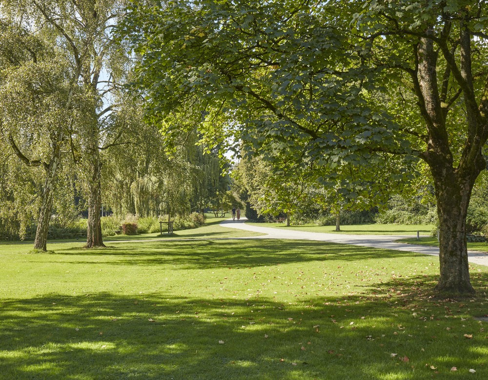 Weg durch Wiese mit Bäumen im Nordpark Bielefeld.