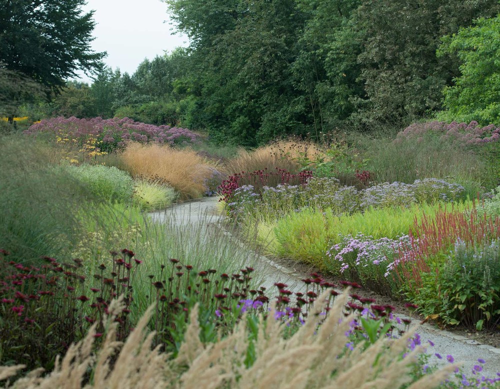 Ein Weg schlängelt sich durch die Blumenpracht im Maximilianpark Hamm.