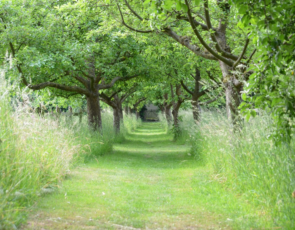 Hiddenhausen, Garten- und Parkanlage Gut Hiddenhausen