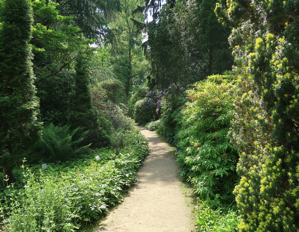 Botanischen Gartens Münster