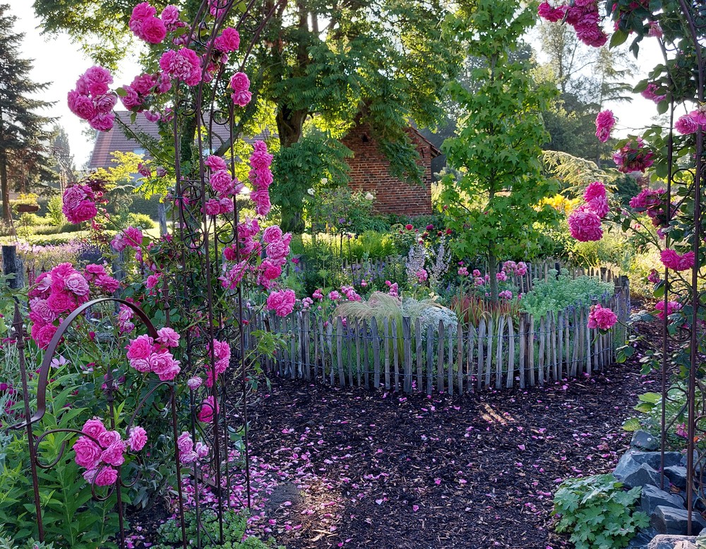 Schermbeck, Garten Michaela und Pascal Paus