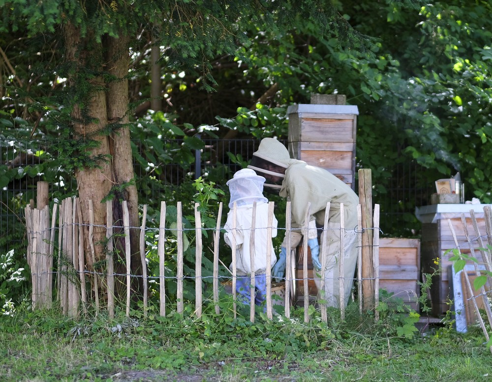 Dortmund, Mietergarten der Borsigbienen