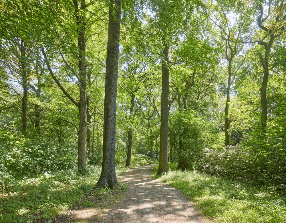 Dortmund Fredenbaumpark