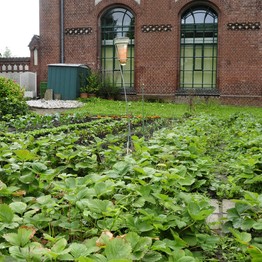 Dortmund, Arbeitergarten des LWL-Museum Zeche Zollern