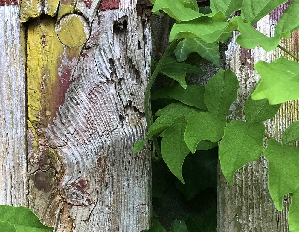 Unser Unperfekt - Garten