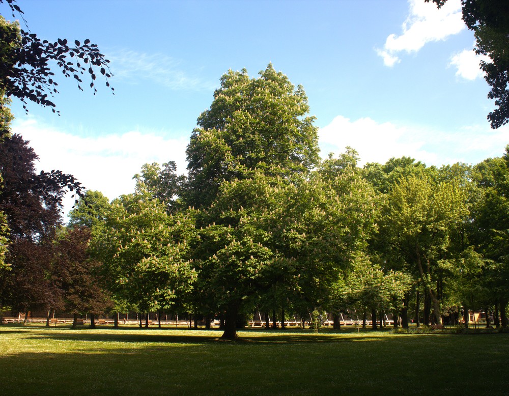 Kurpark Bad Westernkotten