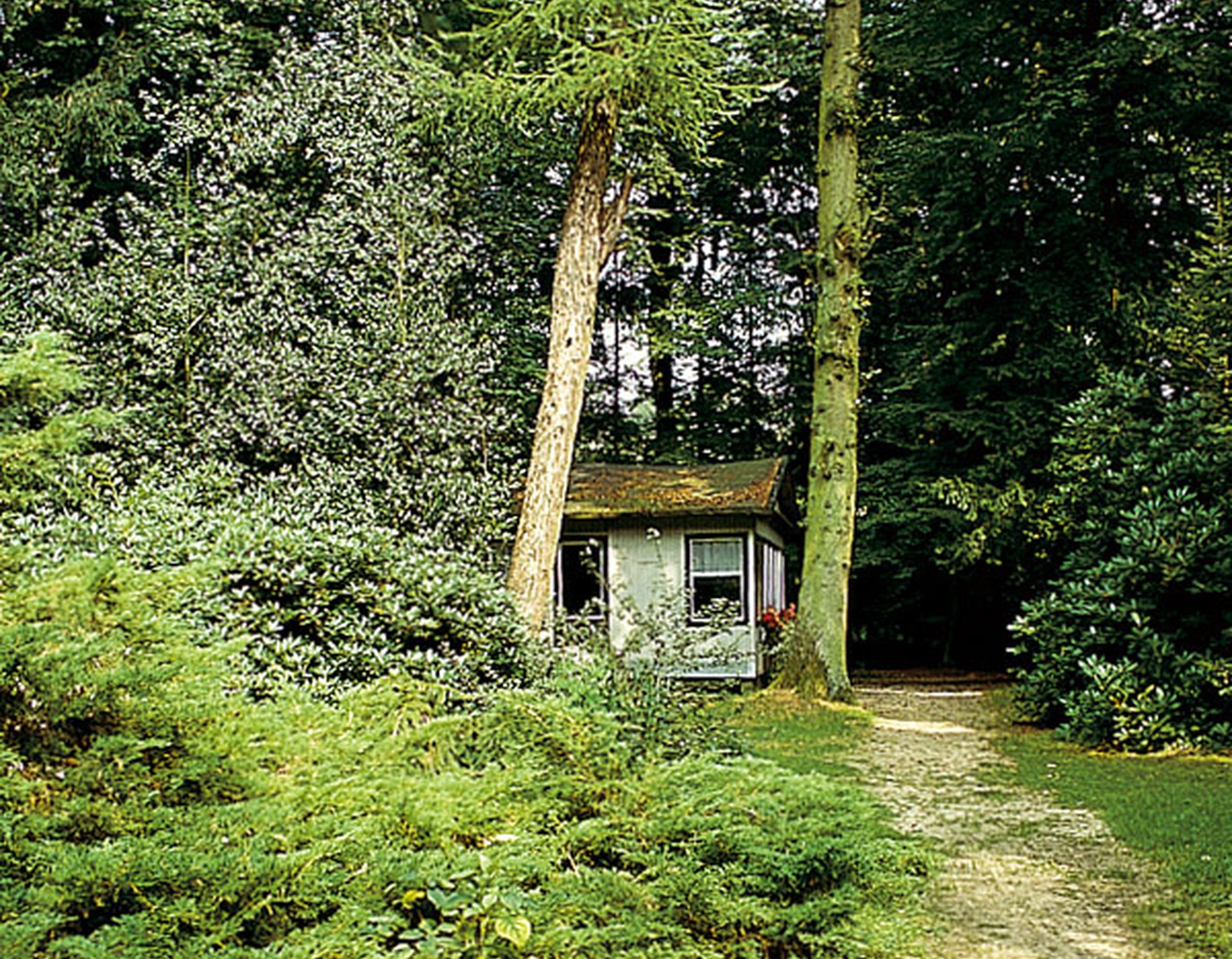 Eine Hütte unter Bäumen im Garten Loismann.