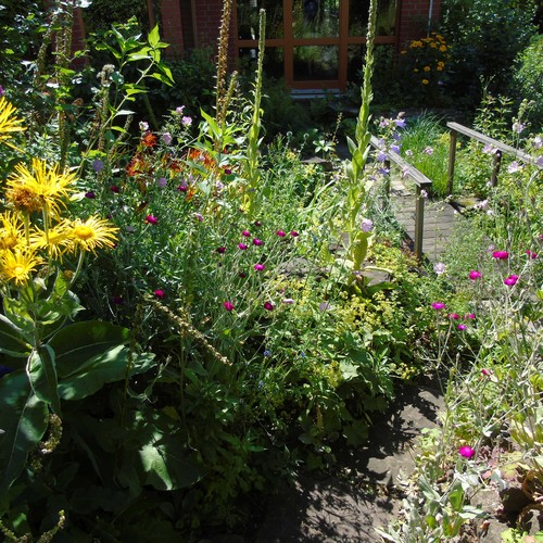 Naturerlebnisgarten
