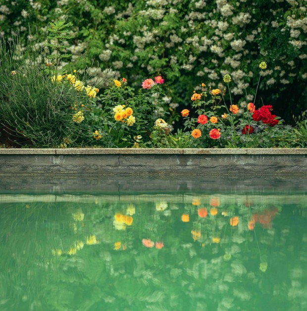 Pool mit Blumen im Hintergrund