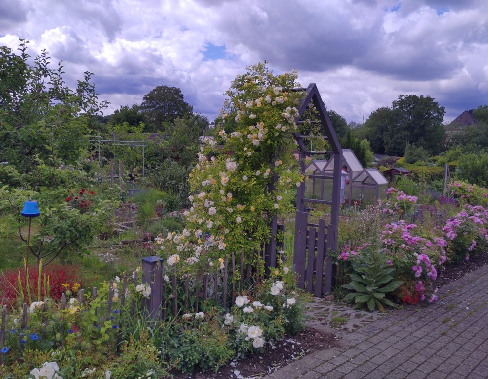 Dortmund: Naturnaher Kleingarten Nr. 33