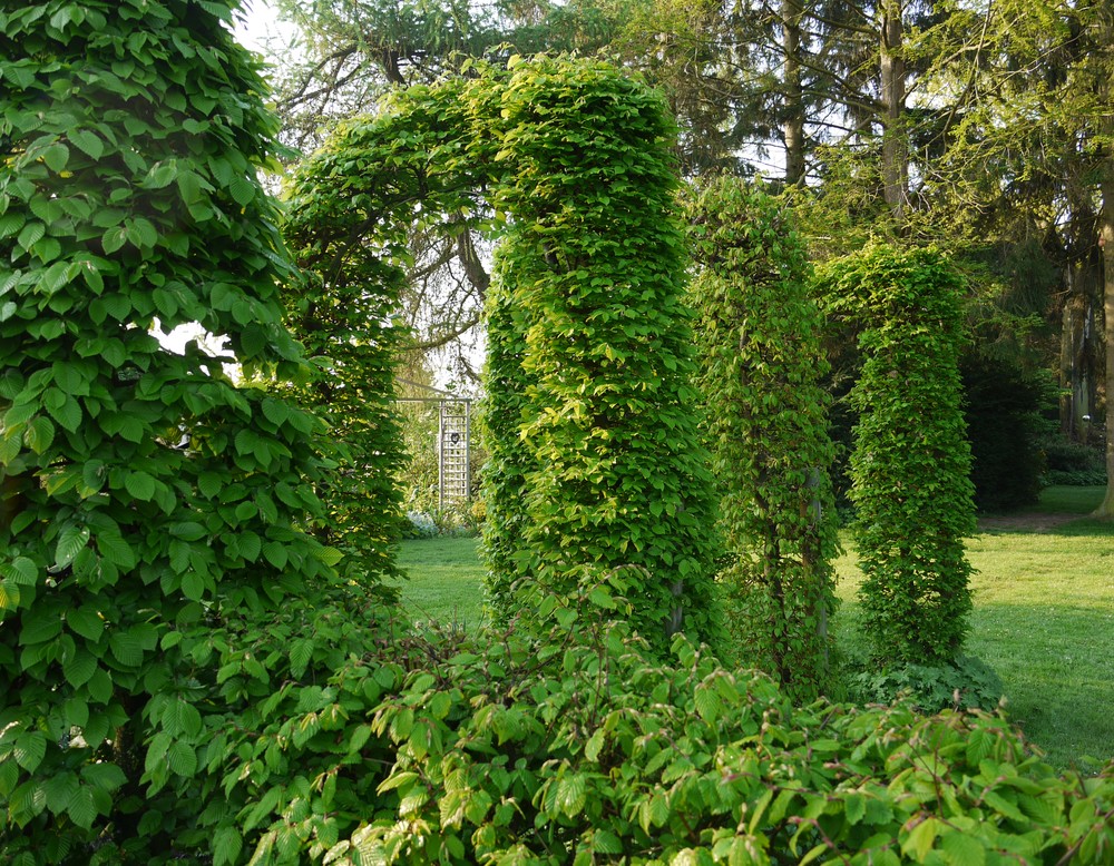 Bad Salzuflen, Garten Hördemann