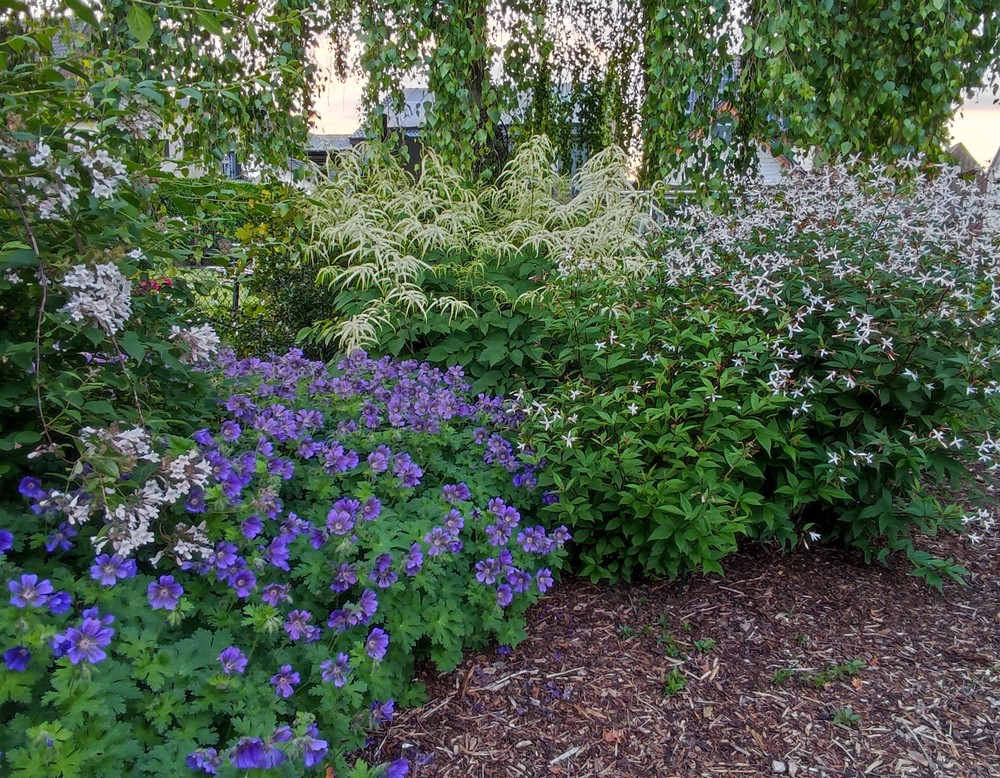 Werne, Garten Jankowski