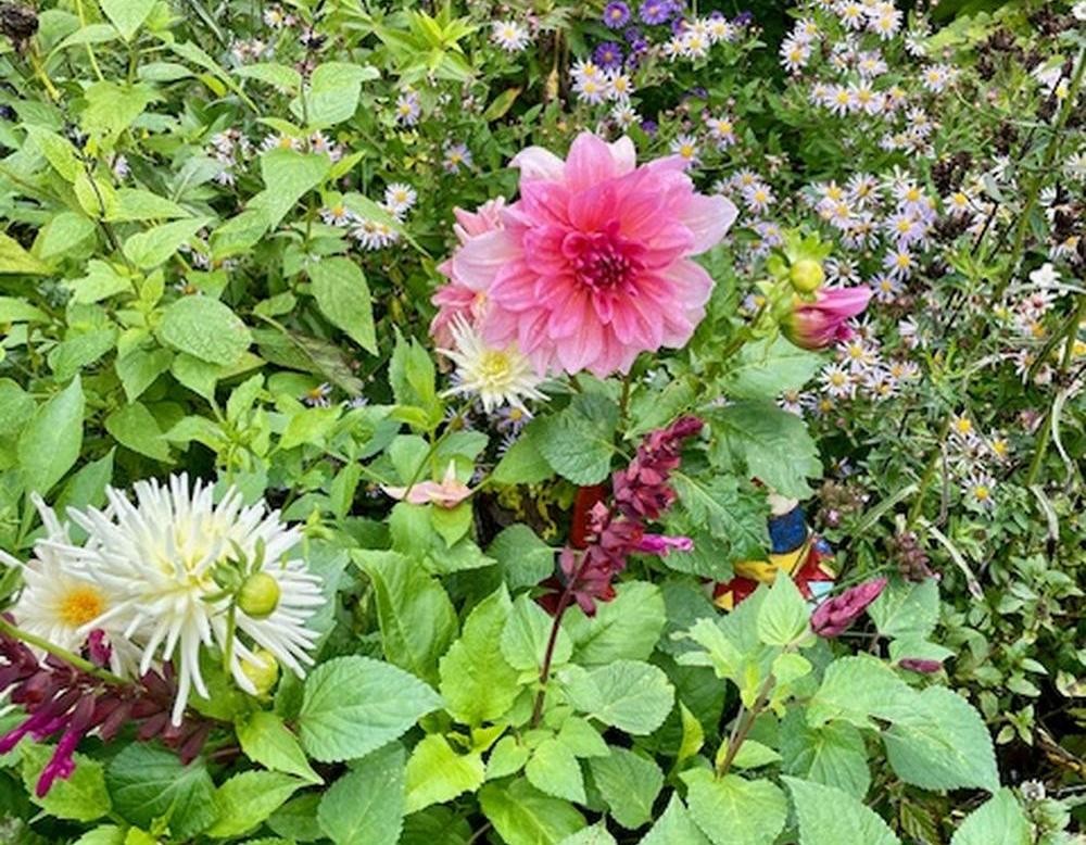 Essen, Ein Platz für Garten(T)Räume