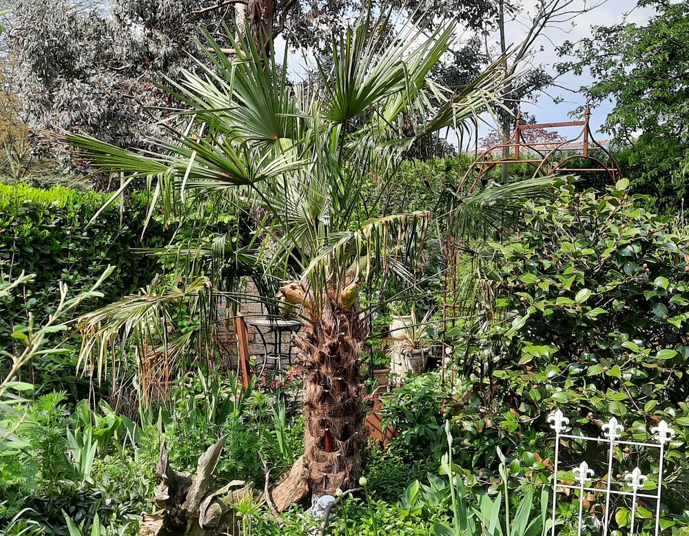 Garten Heinz und Chris Wiedenlübbert