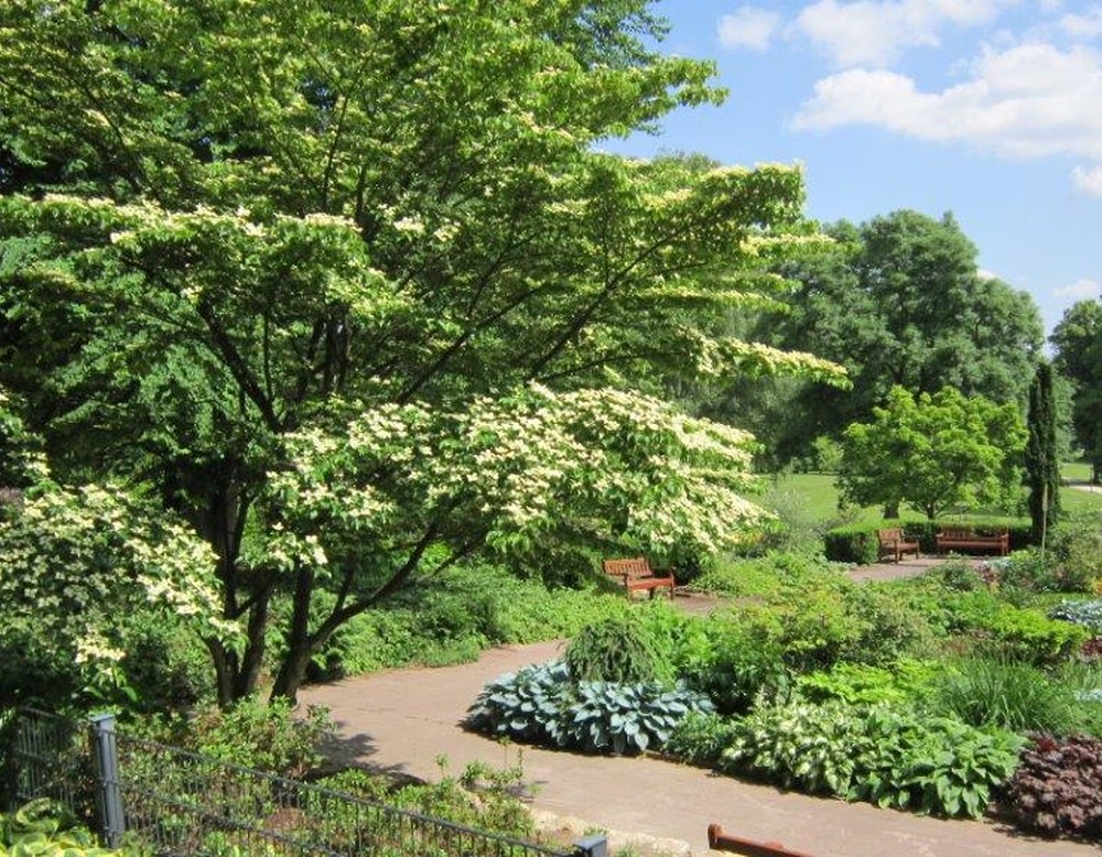 Staudengarten im Bürgerpark Bielefeld