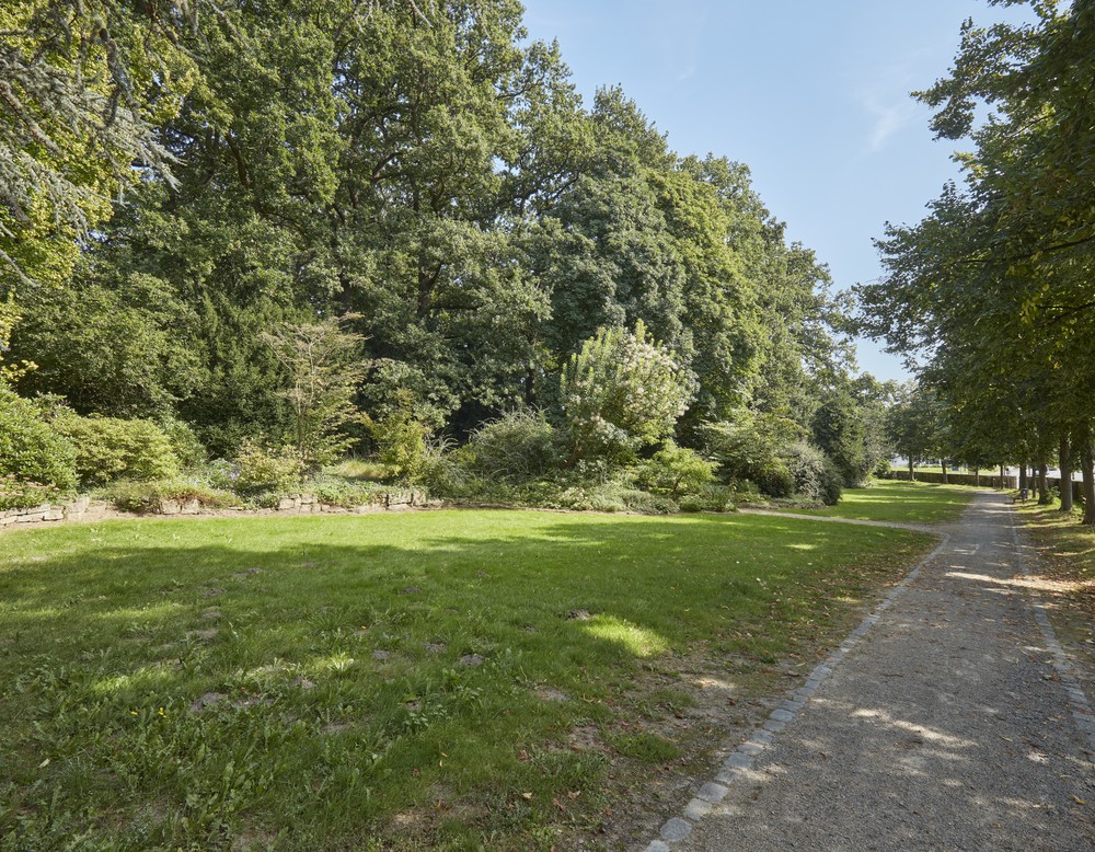 Eine Wiese im Schlosspark Schötmar, die von Bäumen umgeben ist.