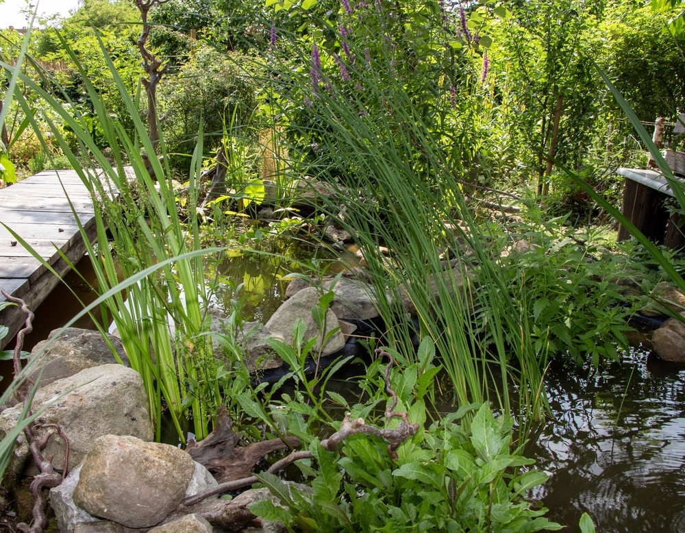 Unna, Hortus Diversitatis "Vielfalt ist Leben!"