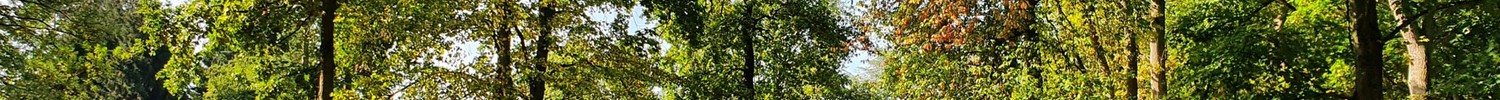 Blick in den Kurpark Bad Liesborn. Rechts sieht man eine der Bronzeskulpturen im Park, die auf einer Wiese steht. Rundherum stehen Bäume.