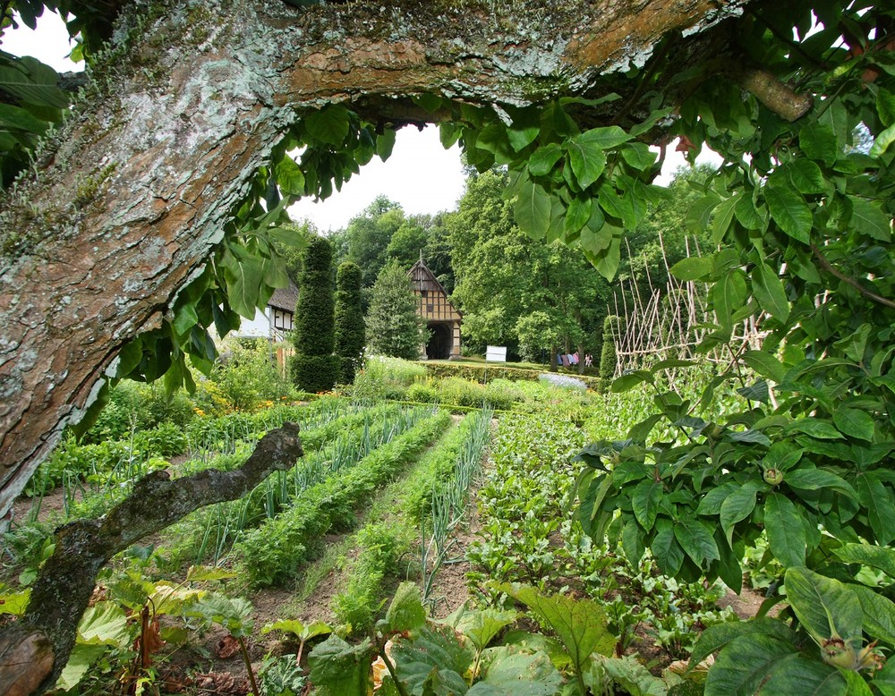 LWL-Museum Hellerlecht - Detmold. Garten des Osnabrücker Hofes.