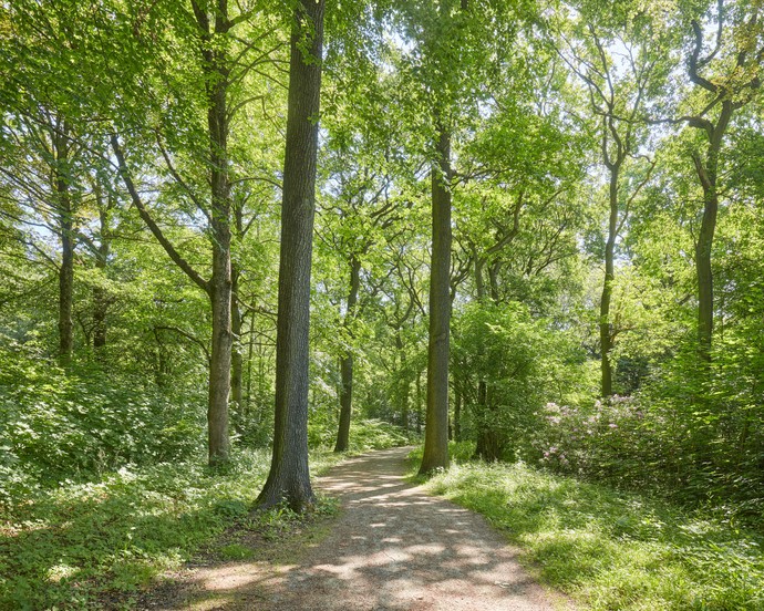Dortmund Fredenbaumpark