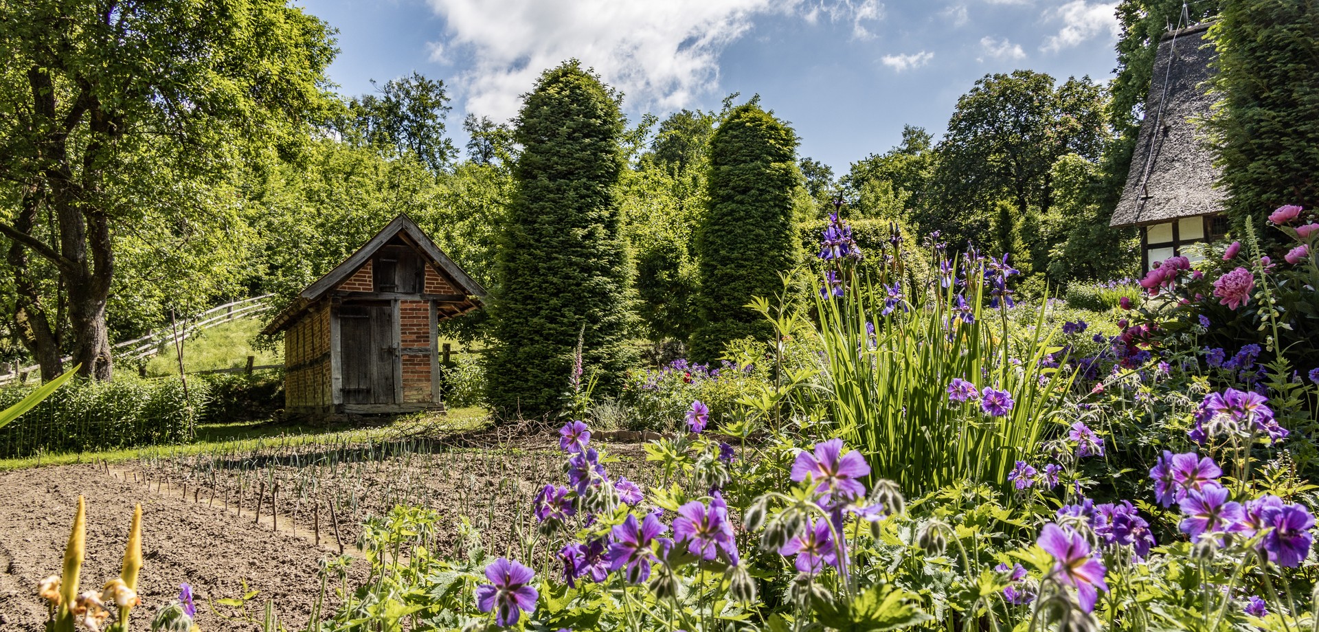 Freilichtmuseum-Detmold_Garten-Osnabrückerhof_Walter-Nitsche