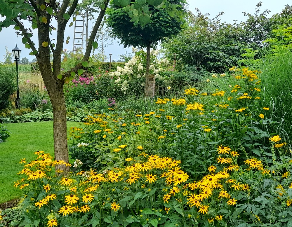 Velen, Borggreve-Sommer