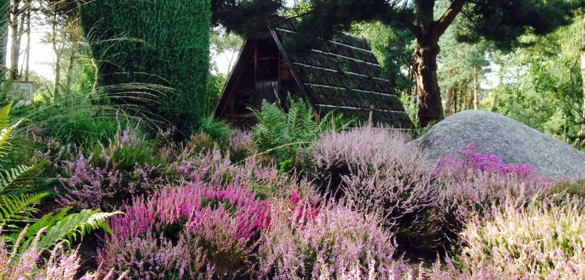 Heidenmoor mit Kate im Botanischen Garten Rombergpark Dortmund.