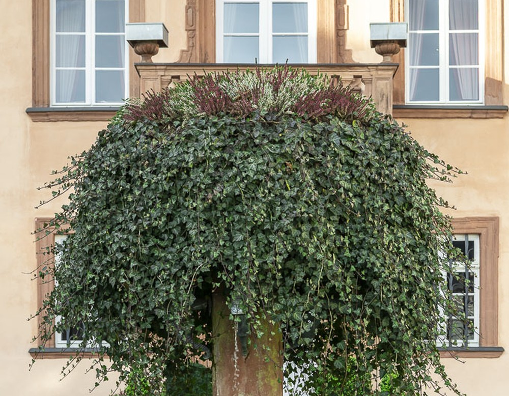 Schlosspark in Badberleburg