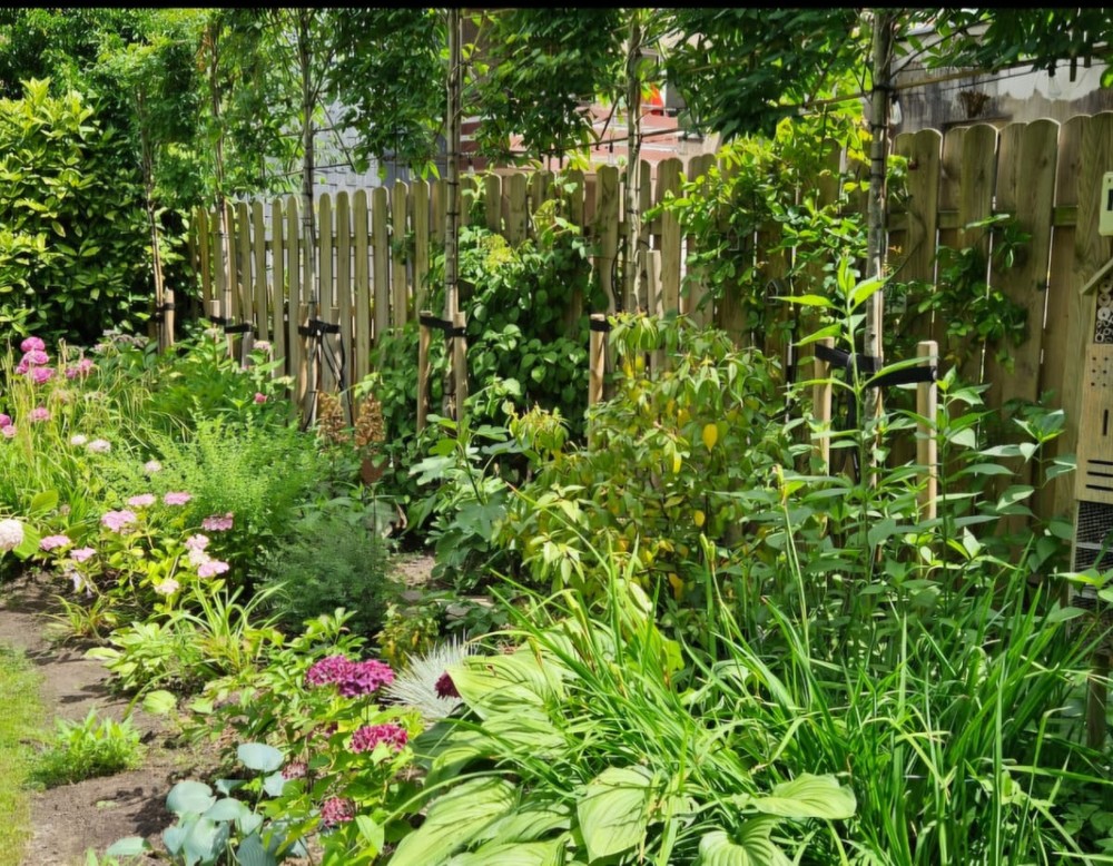 Mein wilder Stadtgarten