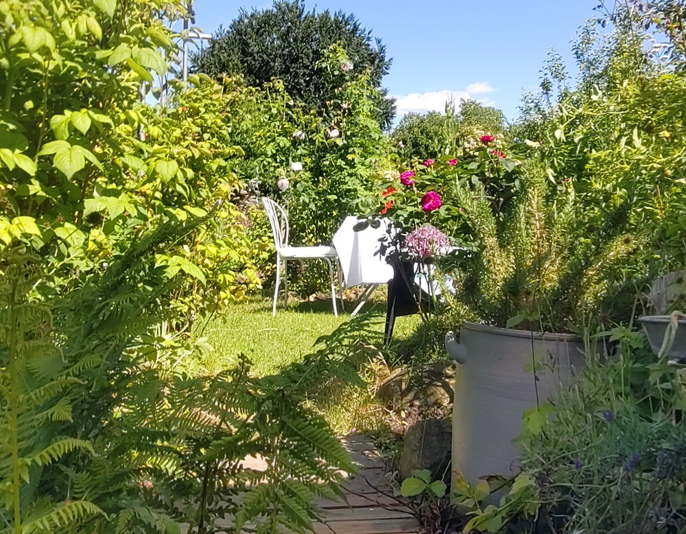 Dortmund: Naturnaher Kleingarten Nr. 33