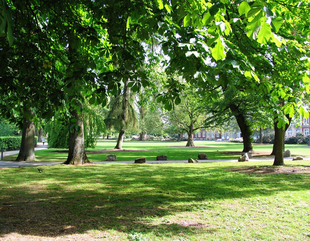 Mehrere Bäume am Botanischen Garten Münster. Zwischen diesen hindurch führt ein Weg. Im Hintergrund rechts sieht man das Schloss Münster.