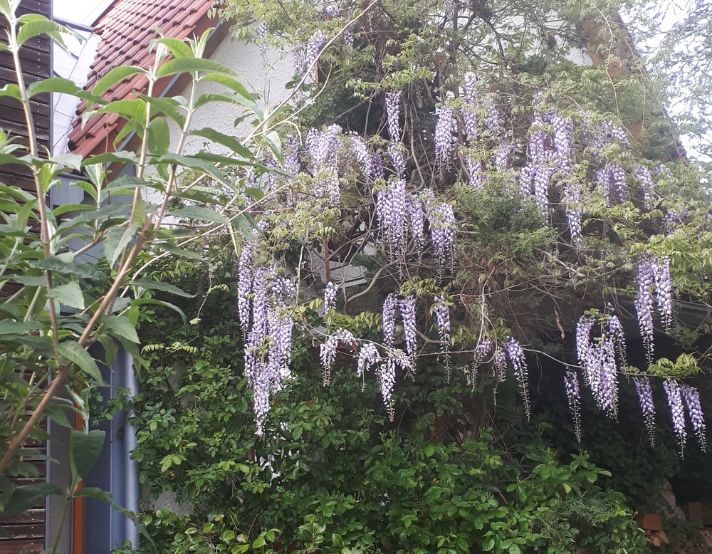 Unna, Garten Dieter Grabsch