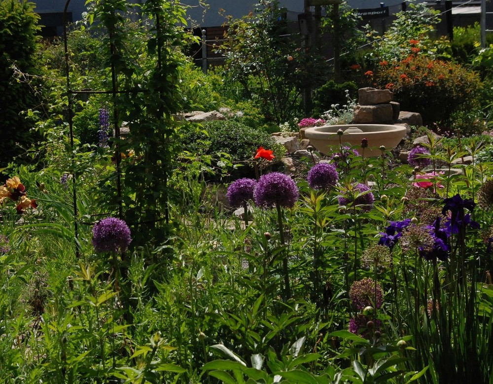Billerbeck, Garten der Mitte
