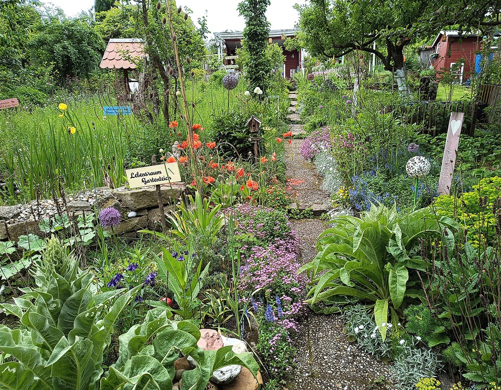 Essen, Tinas Naturkleingarten