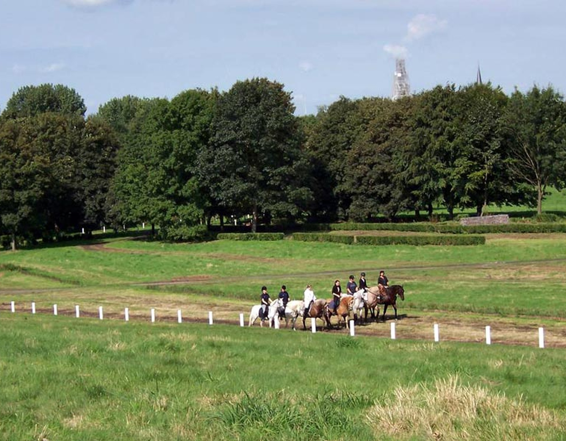 Pferde und Reiter auf der Naturhindernisbahn Castrop-Rauxel.