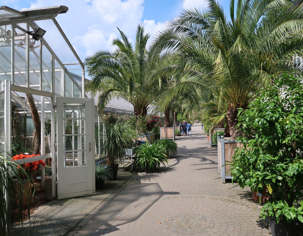 Botanischen Gartens Münster